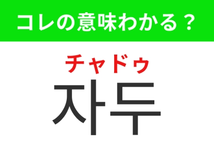 【韓国グルメ編】桃に似た甘酸っぱい果物!「자두(チャドゥ)」の意味は?