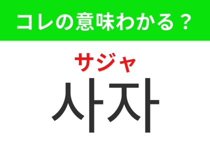 【韓国生活編】サバンナに生息する強そうな動物!「사자(サジャ)」の意味は?