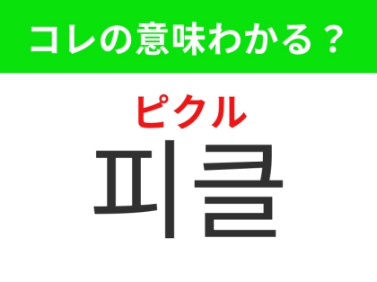 【韓国グルメ編】覚えておきたいあの言葉！「피클（ピクル）」の意味は？