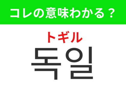 【韓国生活編】クリスマスマーケットで有名な国！「독일（トギル）」の意味は？