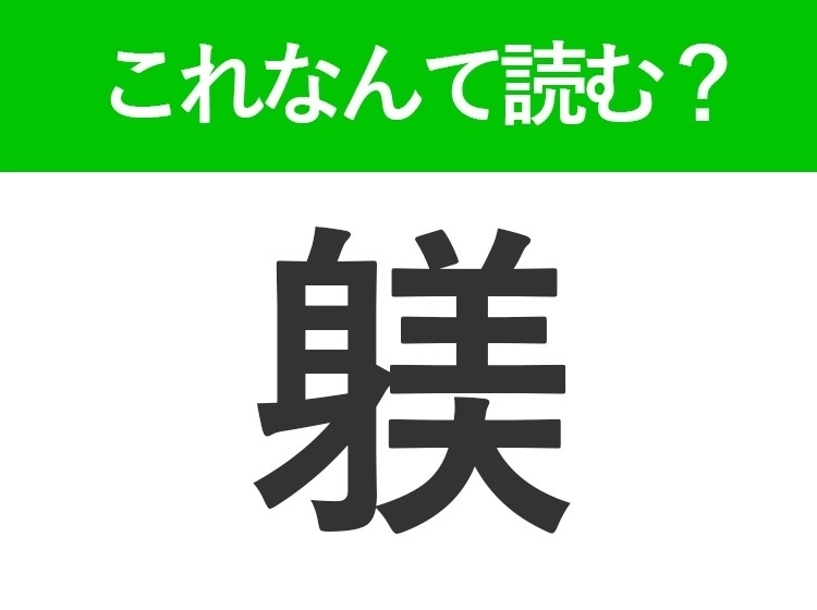 サムネイル画像